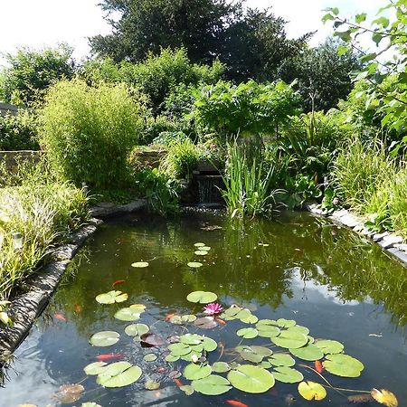 Bed and Breakfast Liongate House Ilchester Экстерьер фото